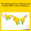 The HarmonicForex Patterns into Profits (PIP) Course Webinars – Scott Carney